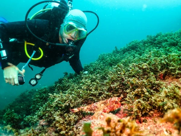 Centro de buceo padi en RJ