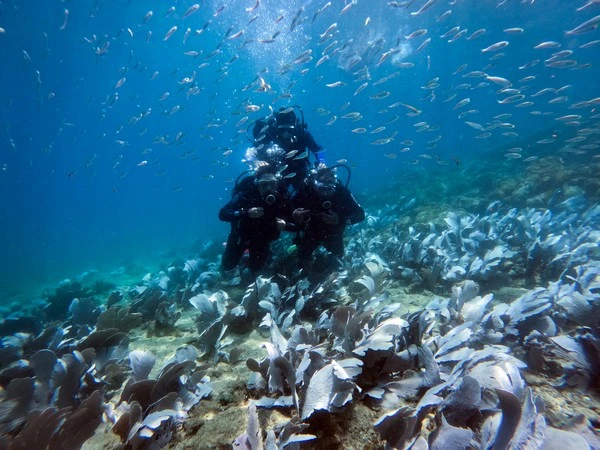 Curso de buceo profundo en Búzios