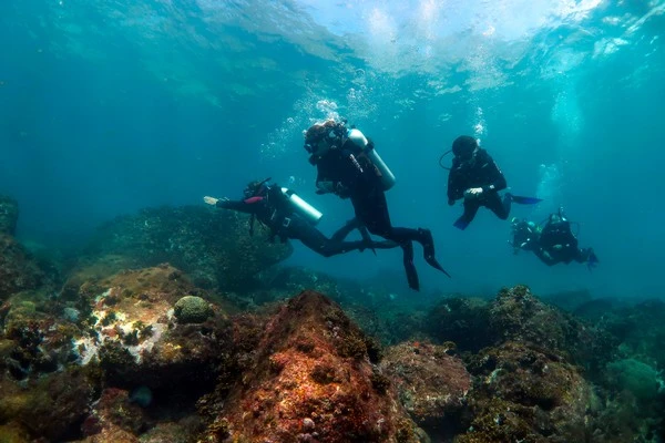 Curso de mergulho padi avançado