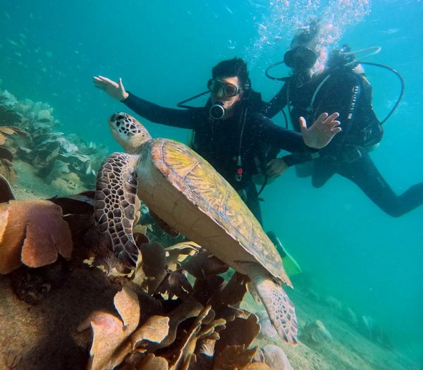 Diving course for beginners in Búzios
