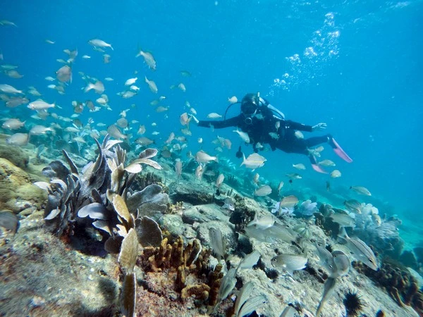 Equipo de inmersión en Búzios
