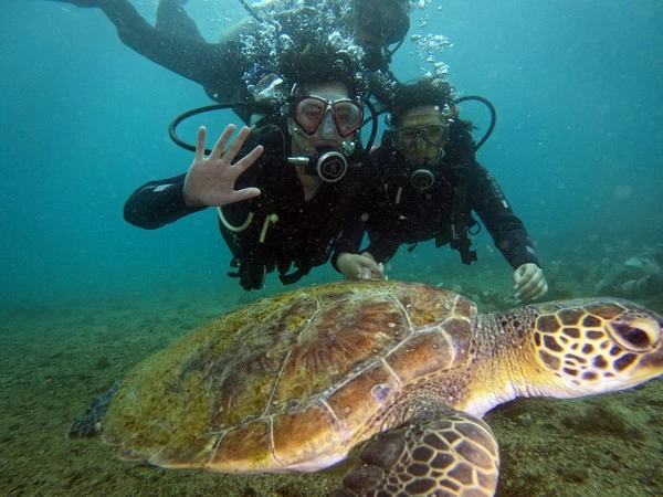 Escola de mergulho padi em Búzios