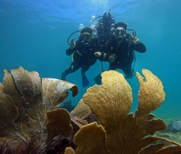 Holiday dive school in Búzios