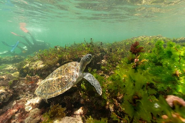 Scuba diving vacation in Búzios