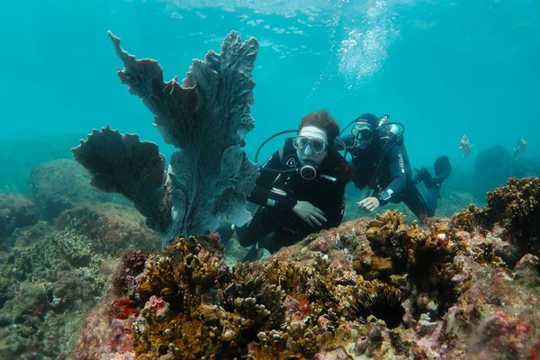 Scuba padi in Búzios