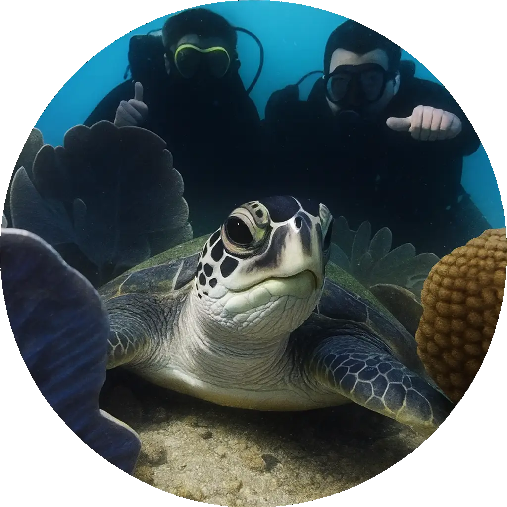 MERGULHO INICIANTE <br> (BATISMO)