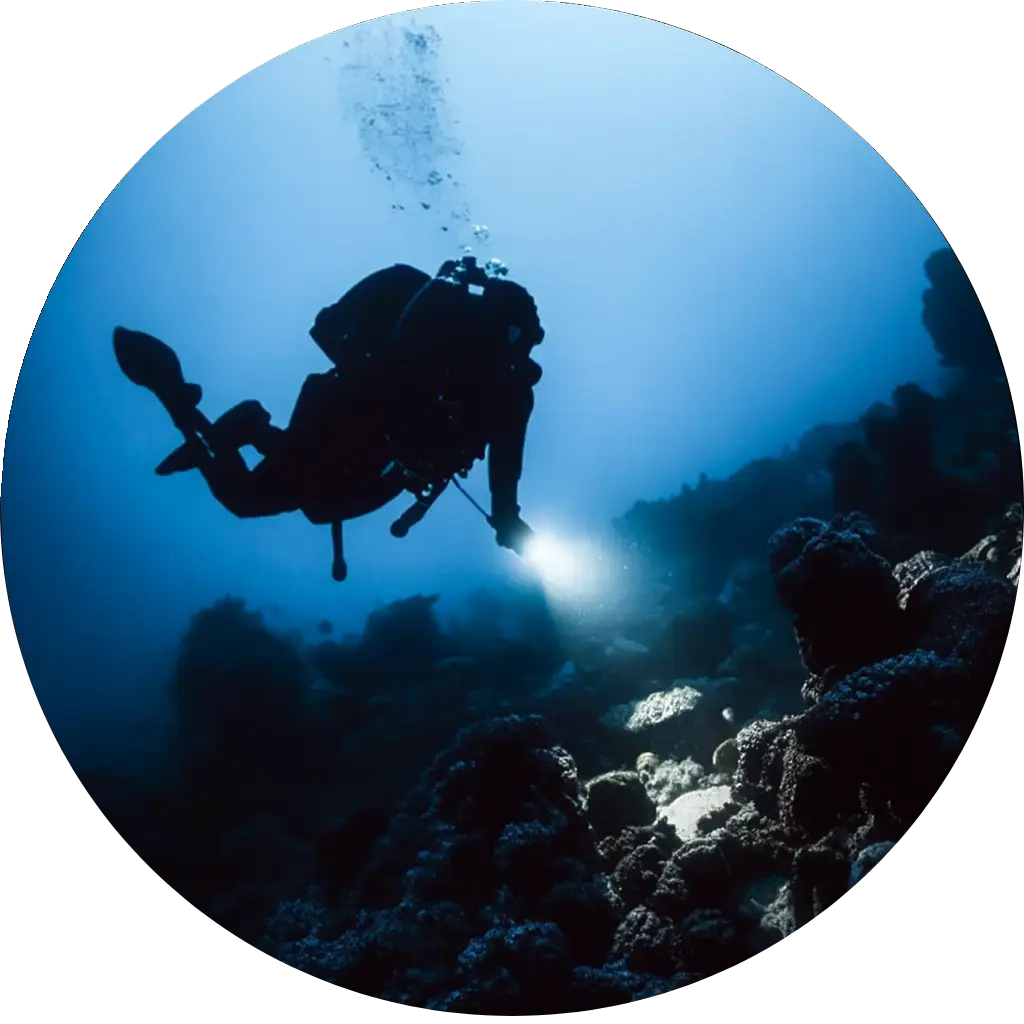 MERGULHOS <br>NOTURNOS